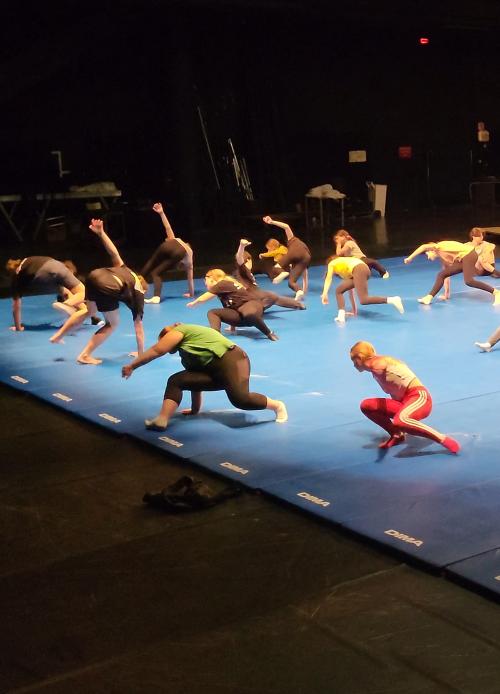 Photo atelier Acrodanse