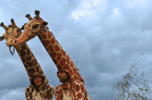 girafes.jpg